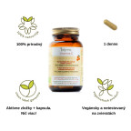 Laveen BIO Vitamín C Acerola 60 vegánskych kapsúl